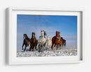 Caballos salvajes al galope - Libby Zhang | Cuadro decorativo de Canvas Lab