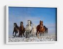 Caballos salvajes al galope - Libby Zhang | Cuadro decorativo de Canvas Lab