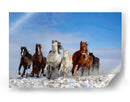 Caballos salvajes al galope - Libby Zhang | Cuadro decorativo de Canvas Lab
