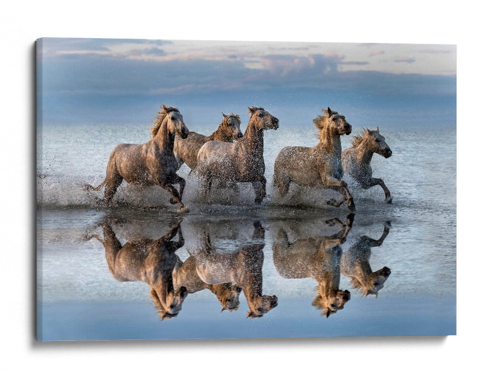 Caballos salvajes y agua corriente - Xavier Ortega | Cuadro decorativo de Canvas Lab