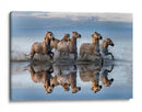 Caballos salvajes y agua corriente - Xavier Ortega | Cuadro decorativo de Canvas Lab
