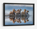 Caballos salvajes y agua corriente - Xavier Ortega | Cuadro decorativo de Canvas Lab