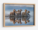 Caballos salvajes y agua corriente - Xavier Ortega | Cuadro decorativo de Canvas Lab