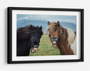 Caballos graciosos riendo - Nir Amos | Cuadro decorativo de Canvas Lab