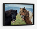 Caballos graciosos riendo - Nir Amos | Cuadro decorativo de Canvas Lab