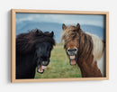 Caballos graciosos riendo - Nir Amos | Cuadro decorativo de Canvas Lab
