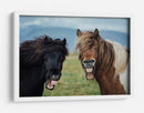 Caballos graciosos riendo - Nir Amos | Cuadro decorativo de Canvas Lab