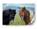 Caballos graciosos riendo - Nir Amos | Cuadro decorativo de Canvas Lab