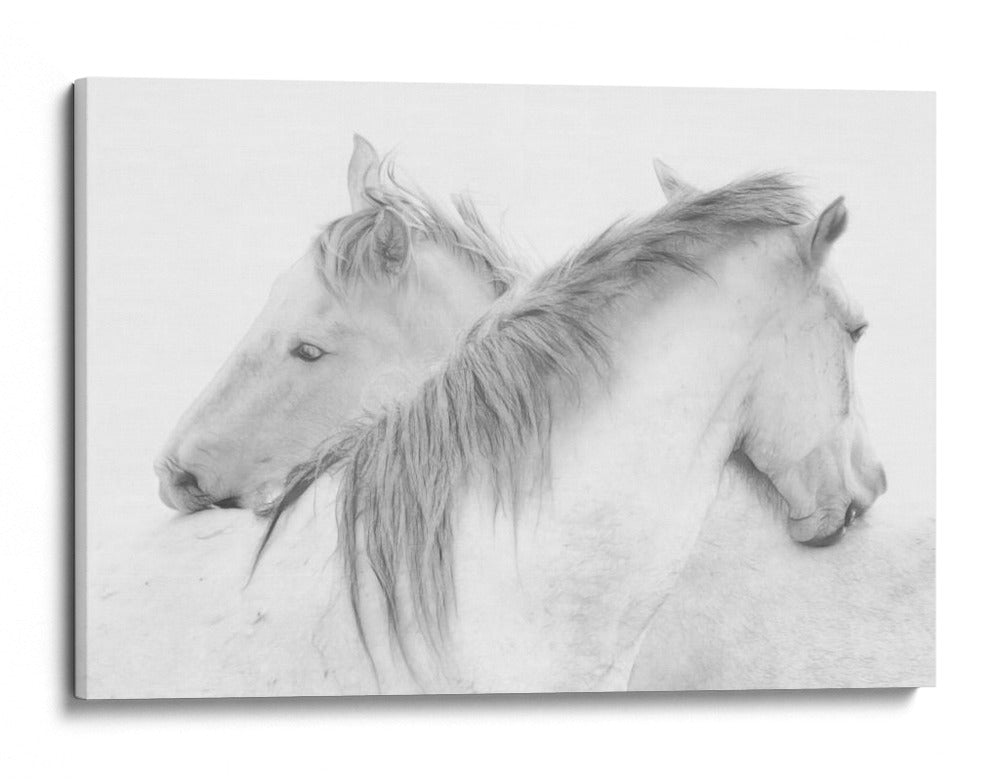 Caballos blancos etéreos - Marie-anne Stas | Cuadro decorativo de Canvas Lab