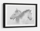 Caballos blancos etéreos - Marie-anne Stas | Cuadro decorativo de Canvas Lab