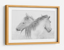Caballos blancos etéreos - Marie-anne Stas | Cuadro decorativo de Canvas Lab