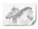 Caballos blancos etéreos - Marie-anne Stas | Cuadro decorativo de Canvas Lab