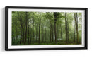 Bosque verde brumoso - Leif Londal | Cuadro decorativo de Canvas Lab