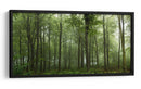 Bosque verde brumoso - Leif Londal | Cuadro decorativo de Canvas Lab