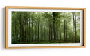 Bosque verde brumoso - Leif Londal | Cuadro decorativo de Canvas Lab