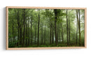 Bosque verde brumoso - Leif Londal | Cuadro decorativo de Canvas Lab