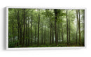 Bosque verde brumoso - Leif Londal | Cuadro decorativo de Canvas Lab
