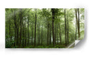 Bosque verde brumoso - Leif Londal | Cuadro decorativo de Canvas Lab