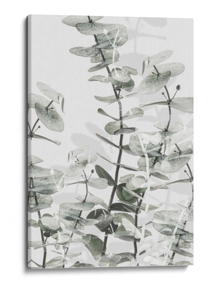 Capas suaves de eucalipto - Fluidys Studio III | Cuadro decorativo de Canvas Lab
