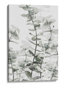 Capas suaves de eucalipto - Fluidys Studio III | Cuadro decorativo de Canvas Lab