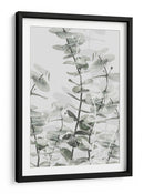 Capas suaves de eucalipto - Fluidys Studio III | Cuadro decorativo de Canvas Lab