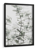 Capas suaves de eucalipto - Fluidys Studio III | Cuadro decorativo de Canvas Lab
