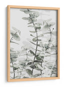 Capas suaves de eucalipto - Fluidys Studio III | Cuadro decorativo de Canvas Lab