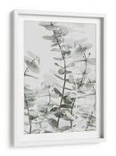 Capas suaves de eucalipto - Fluidys Studio III | Cuadro decorativo de Canvas Lab