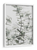 Capas suaves de eucalipto - Fluidys Studio III | Cuadro decorativo de Canvas Lab