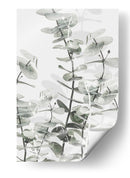 Capas suaves de eucalipto - Fluidys Studio III | Cuadro decorativo de Canvas Lab
