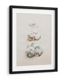 Conchas de playa en espiral - Fluidys Studio III | Cuadro decorativo de Canvas Lab