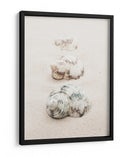 Conchas de playa en espiral - Fluidys Studio III | Cuadro decorativo de Canvas Lab