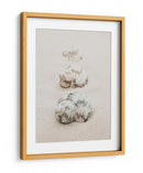 Conchas de playa en espiral - Fluidys Studio III | Cuadro decorativo de Canvas Lab