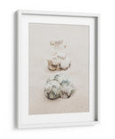 Conchas de playa en espiral - Fluidys Studio III | Cuadro decorativo de Canvas Lab