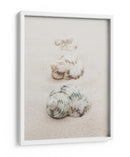 Conchas de playa en espiral - Fluidys Studio III | Cuadro decorativo de Canvas Lab