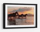 Carrera al atardecer de caballos salvajes - BARKAN TEKDOGAN | Cuadro decorativo de Canvas Lab