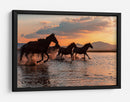 Carrera al atardecer de caballos salvajes - BARKAN TEKDOGAN | Cuadro decorativo de Canvas Lab