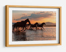 Carrera al atardecer de caballos salvajes - BARKAN TEKDOGAN | Cuadro decorativo de Canvas Lab