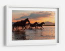 Carrera al atardecer de caballos salvajes - BARKAN TEKDOGAN | Cuadro decorativo de Canvas Lab