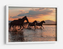 Carrera al atardecer de caballos salvajes - BARKAN TEKDOGAN | Cuadro decorativo de Canvas Lab
