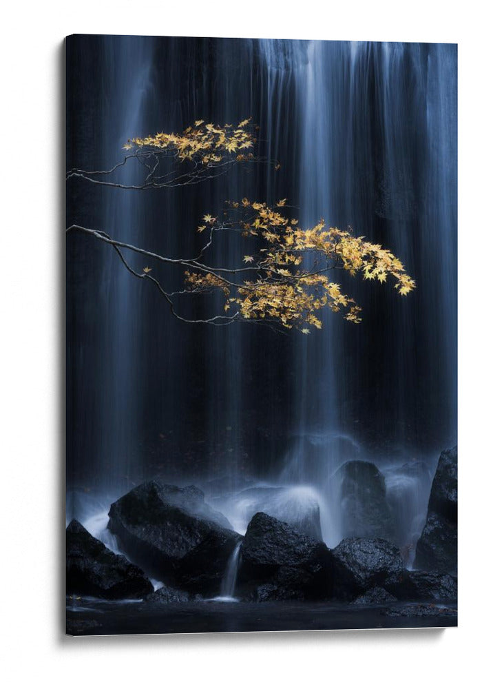 Cascada de hojas doradas - Yuki Yatsushima | Cuadro decorativo de Canvas Lab