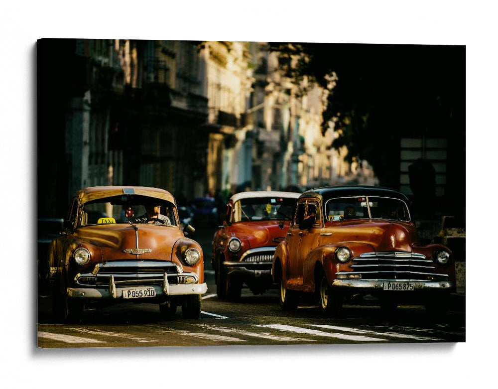 Cruisers urbanos clásicos - Gina Buliga | Cuadro decorativo de Canvas Lab