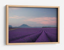 Campos de lavanda al anochecer - Rostovskiy Anton | Cuadro decorativo de Canvas Lab