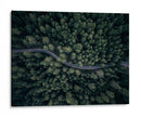Camino forestal serpenteante - Antonio Carrillo Lopez | Cuadro decorativo de Canvas Lab