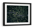 Camino forestal serpenteante - Antonio Carrillo Lopez | Cuadro decorativo de Canvas Lab