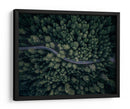 Camino forestal serpenteante - Antonio Carrillo Lopez | Cuadro decorativo de Canvas Lab