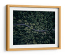 Camino forestal serpenteante - Antonio Carrillo Lopez | Cuadro decorativo de Canvas Lab