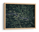 Camino forestal serpenteante - Antonio Carrillo Lopez | Cuadro decorativo de Canvas Lab