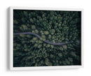 Camino forestal serpenteante - Antonio Carrillo Lopez | Cuadro decorativo de Canvas Lab