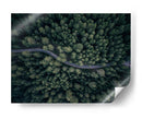 Camino forestal serpenteante - Antonio Carrillo Lopez | Cuadro decorativo de Canvas Lab